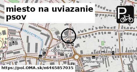 miesto na uviazanie psov