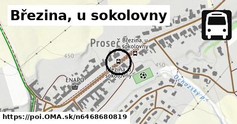 Březina, u sokolovny