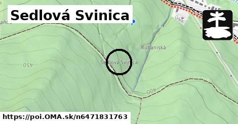 Sedlová Svinica