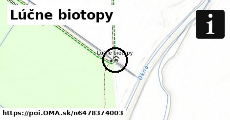 Lúčne biotopy