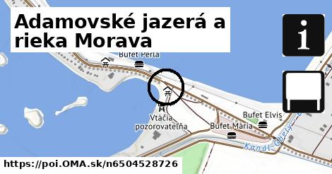 Adamovské jazerá a rieka Morava