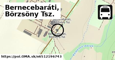 Bernecebaráti, Börzsöny Tsz.