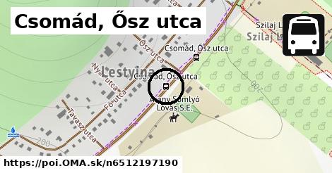 Csomád, Ősz utca