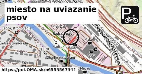 miesto na uviazanie psov