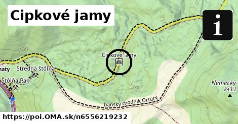 Cipkové jamy