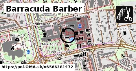 Barracuda Barber