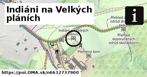 Indiáni na Velkých pláních