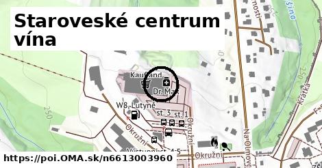 Staroveské centrum vína