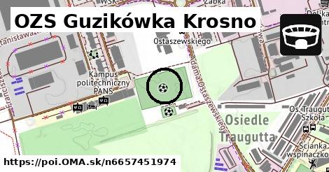 OZS Guzikówka Krosno