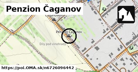 Penzion Čaganov