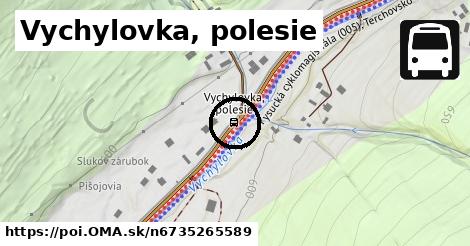 Vychylovka, polesie