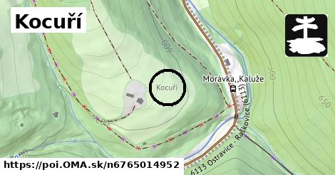 Kocuří