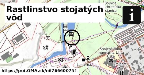 Rastlinstvo stojatých vôd