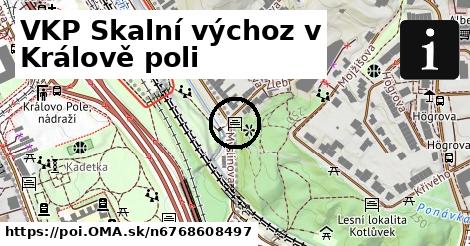 VKP Skalní výchoz v Králově poli