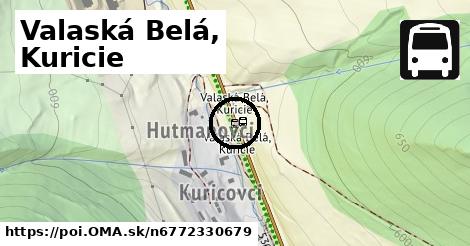 Valaská Belá, Kuricie