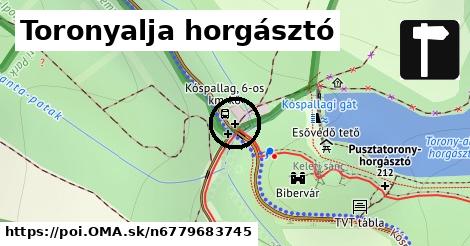 Toronyalja horgásztó