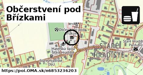 Občerstvení pod Břízkami