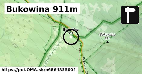 Bukowina 911m