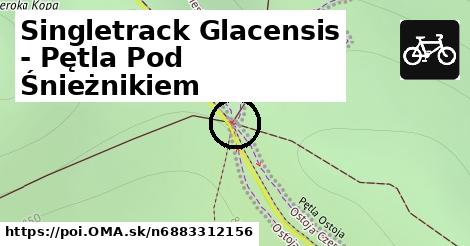 Singletrack Glacensis - Pętla Pod Śnieżnikiem