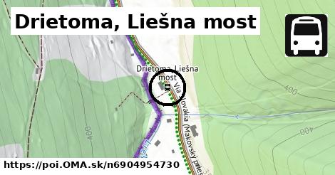 Drietoma, Liešna most