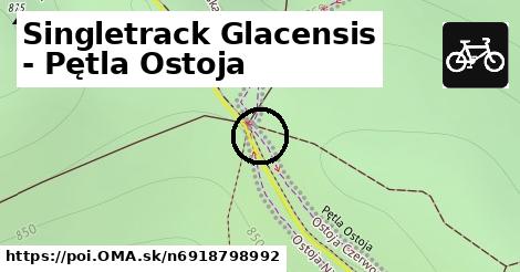 Singletrack Glacensis - Pętla Ostoja