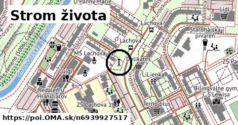 Strom života