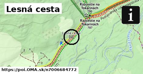 Lesná cesta