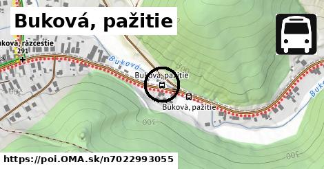 Buková, pažitie