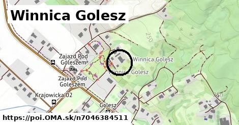 Winnica Golesz