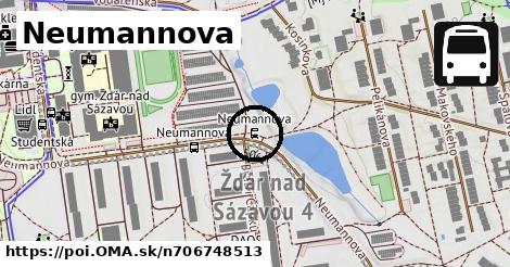 Neumannova