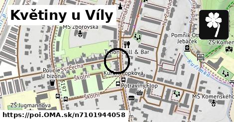 Květiny u Víly