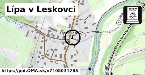 Lípa v Leskovci