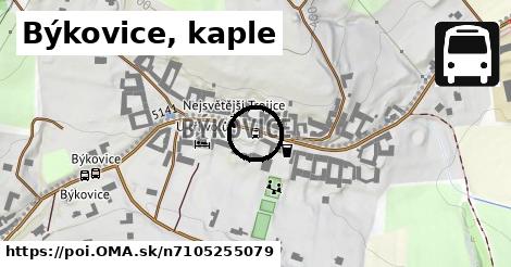 Býkovice, kaple