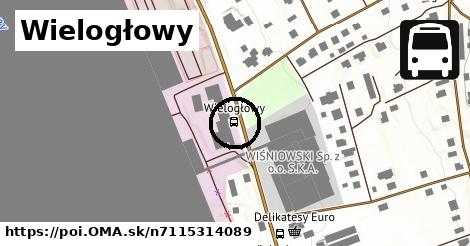 Wielogłowy