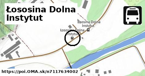 Łososina Dolna Instytut