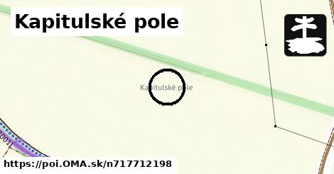 Kapitulské pole