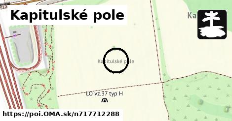 Kapitulské pole