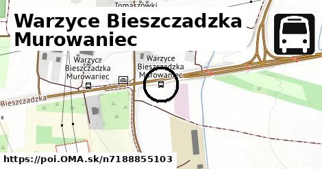 Warzyce Bieszczadzka Murowaniec