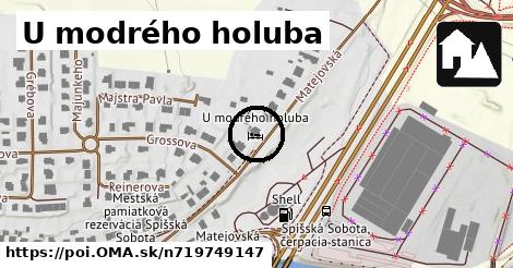 U modrého holuba