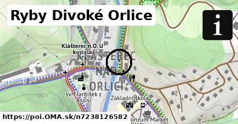 Ryby Divoké Orlice