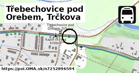 Třebechovice pod Orebem, Trčkova