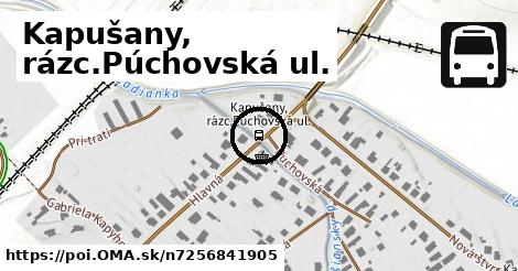 Kapušany, rázc.Púchovská ul.