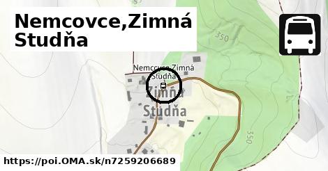 Nemcovce,Zimná Studňa