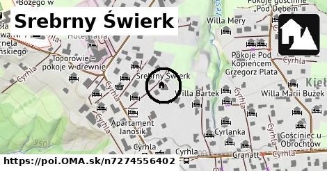 Srebrny Świerk