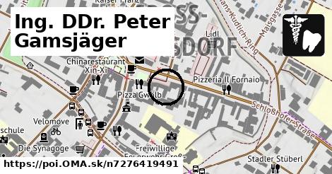 Ing. DDr. Peter Gamsjäger