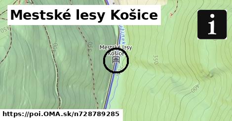 Mestské lesy Košice