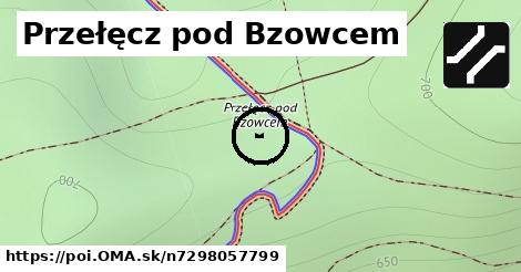 Przełęcz pod Bzowcem