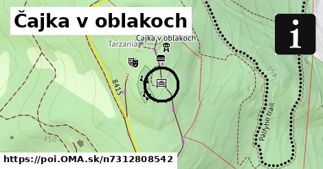 Čajka v oblakoch