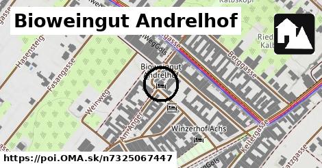 Bioweingut Andrelhof