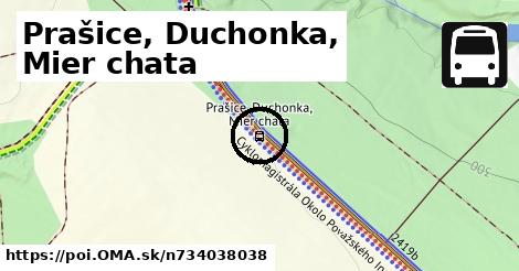 Prašice, Duchonka, Mier chata